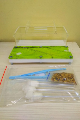 Муравьиная ферма 18*17 см Лист с комплектом для содержания